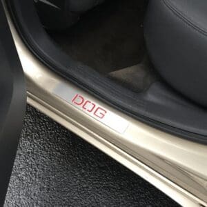 The word DOG engraved on a car door