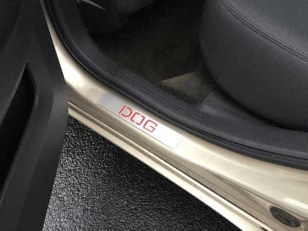 The word DOG engraved on a car door