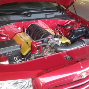 Chrysler 300 HEMI Half Covers