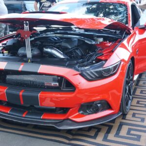 Mustang Hood Prop