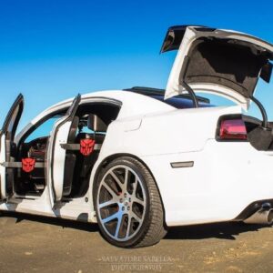 BMW Rear Door Props